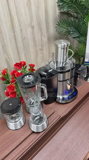 4 in 1 Heavy Duty Digital Juicer Food Processor