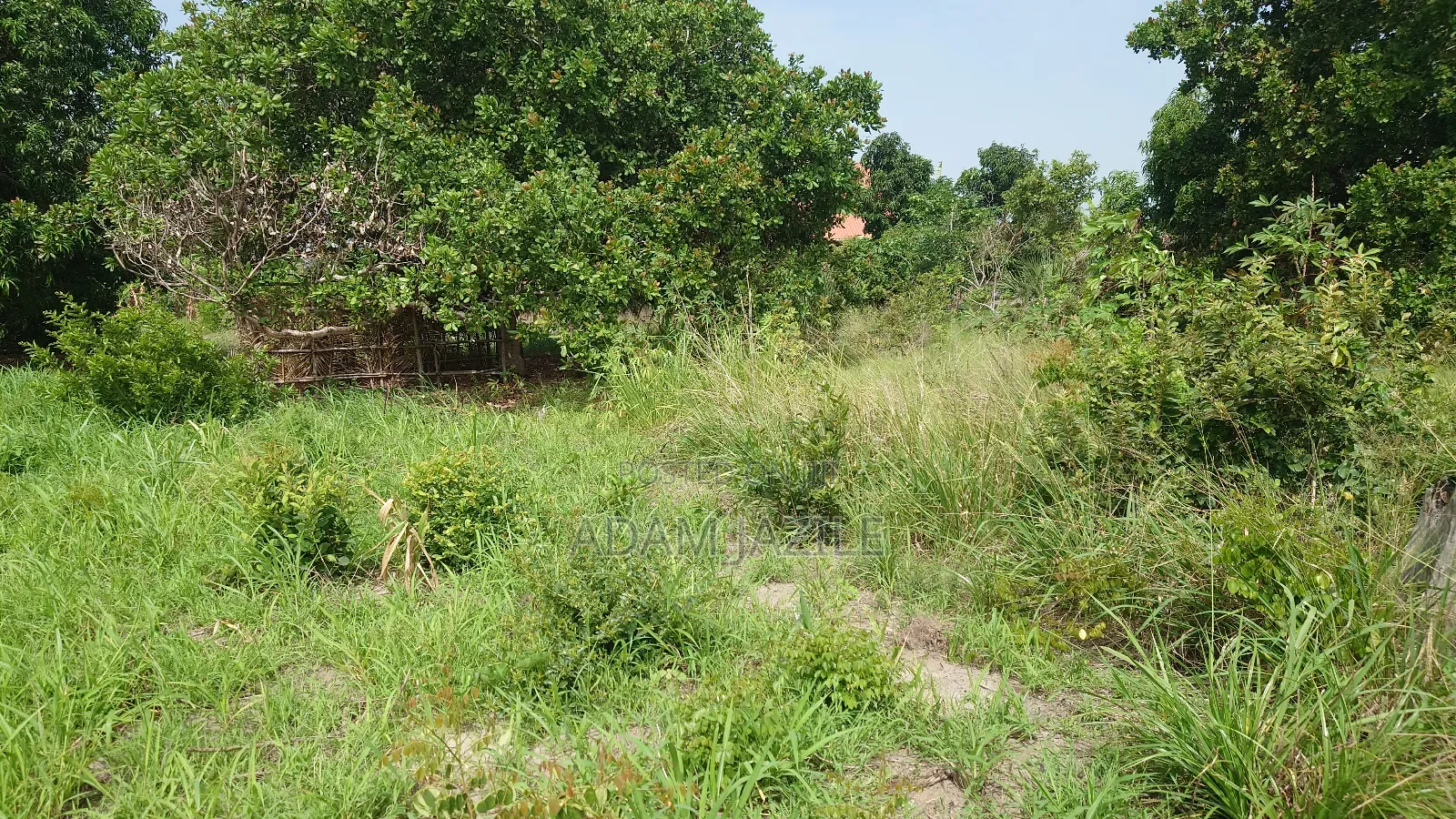 Kiwanja Kinauzwa Kidomole