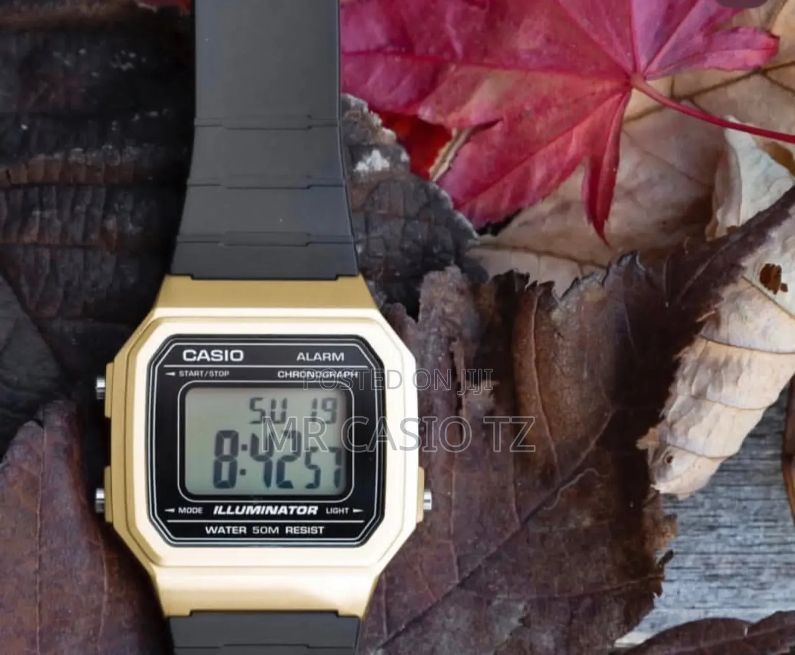 Casio W-217hm-9avdf