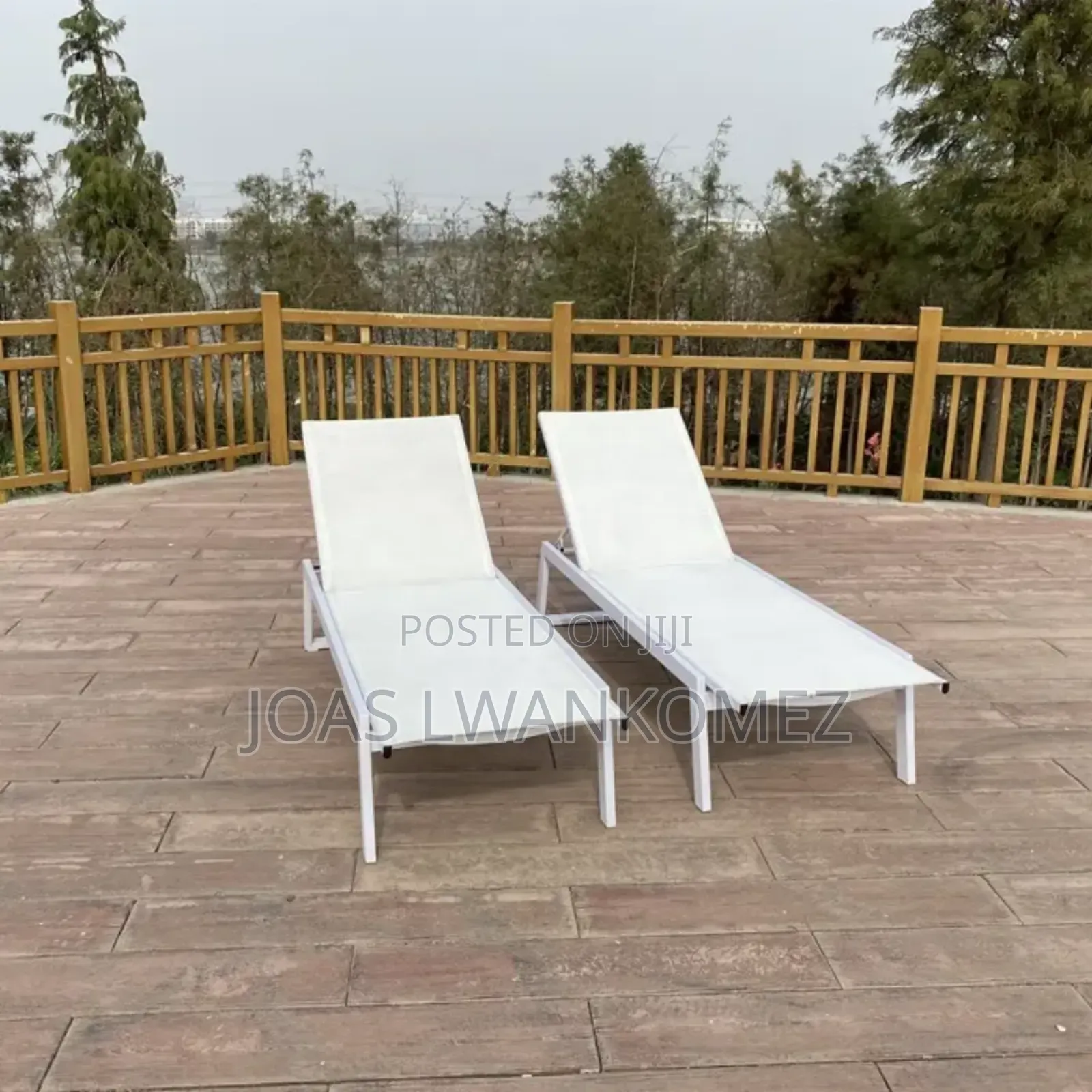 Outdoor Swimming Pool Lounge Chairs(2pcs)