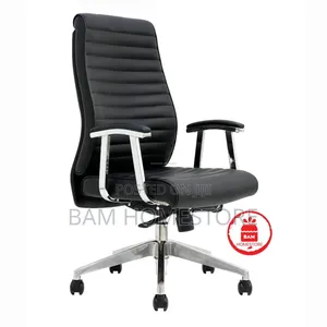 The Linear Elite Director’S Chair