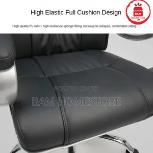 The Aura Ergo-Director Chair