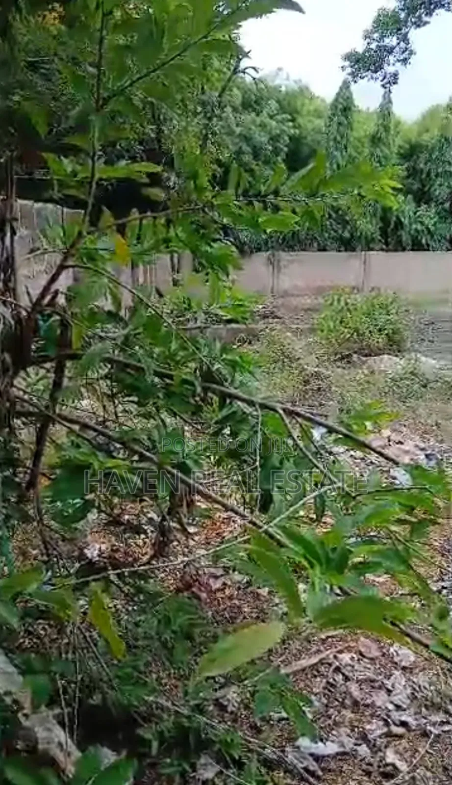 Prime Plot for Sale at Oyster Bay