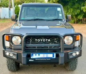 Toyota Land Cruiser 2025 Gray