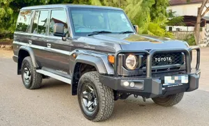 Toyota Land Cruiser 2025 Gray