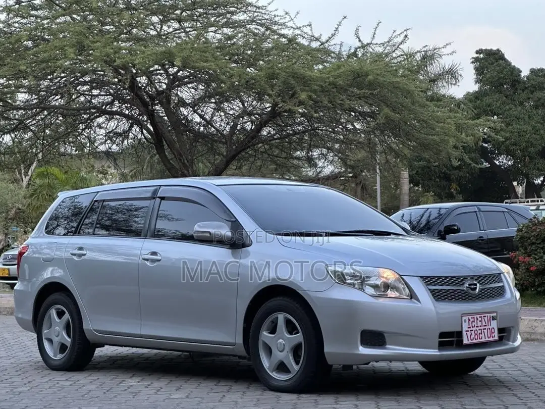 Toyota Corolla Fielder 1.5 Petrol FWD 2008 Silver