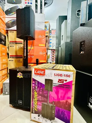 Lige-156 15" High-Power Karaoke Professional Speaker With 2 Microphone