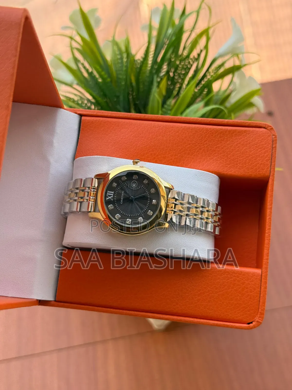 Cartiel Classic Watch for Ladies Silver Gold and Black