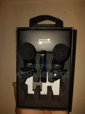 Wireless Microphone