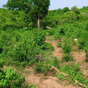 Shamba La Ekari 20 Linauzwa Bagamoyo