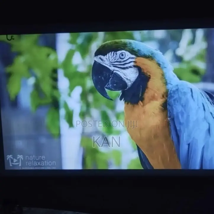 Projector Hy 320