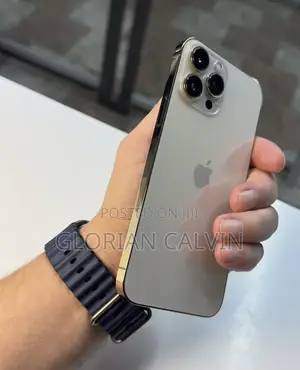 New Apple iPhone 13 Pro Max 256 GB Gold