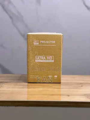 Hy 300 Projector