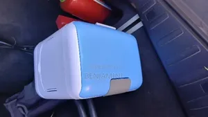  Car Home Cold Box Mini Refrigerator