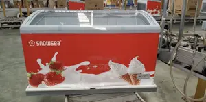 Snow Sea Freezer