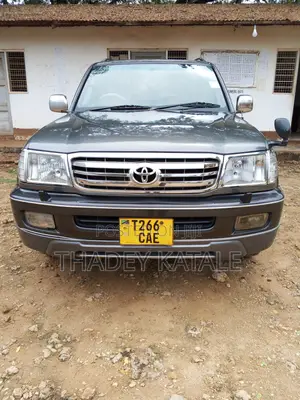 Toyota Land Cruiser 1999 Gray