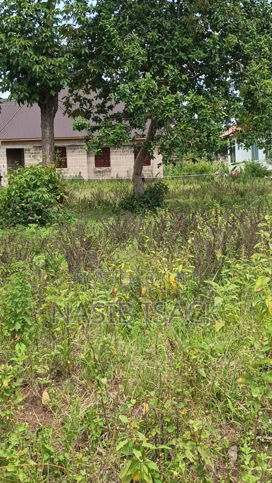 Plot for Sale Mwanza Busweru