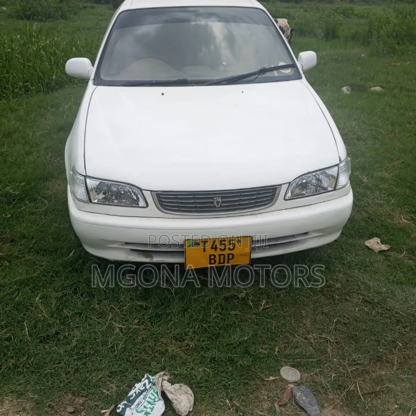 Toyota Corolla 1999 White