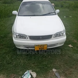 Toyota Corolla 1999 White