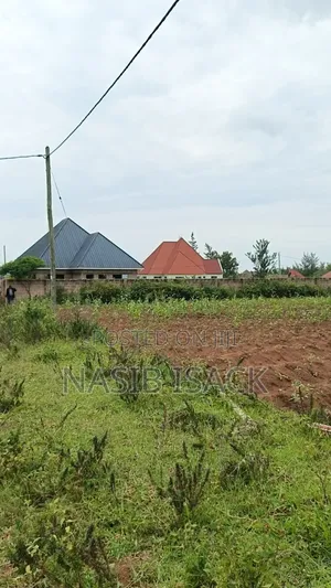 Plot for Sale Mwanza Ilemela Busweru