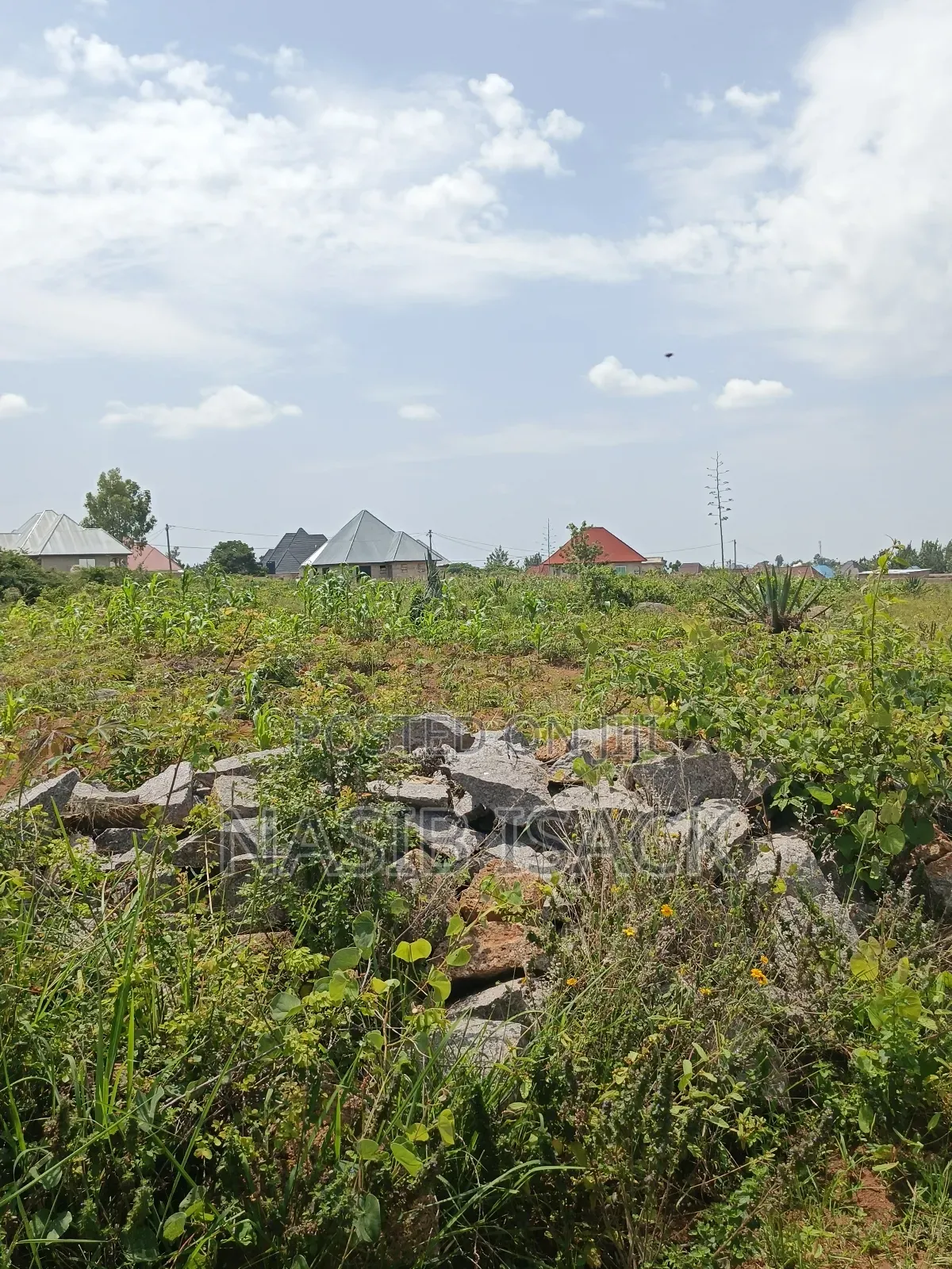 Plot for Sale