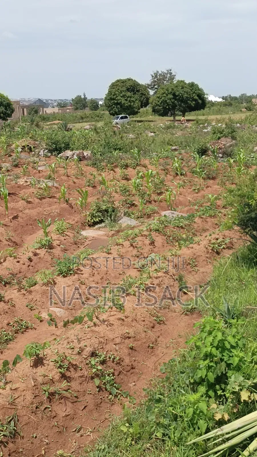 Plot for Sale