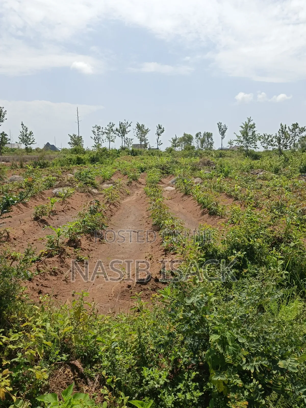 Plot for Sale