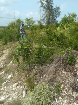 Colmercial Plot for Sale at Paje Zanzibar
