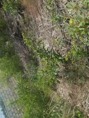 Colmercial Plot for Sale at Paje Zanzibar