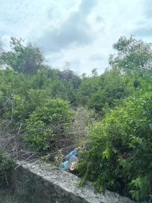 Colmercial Plot for Sale at Paje Zanzibar