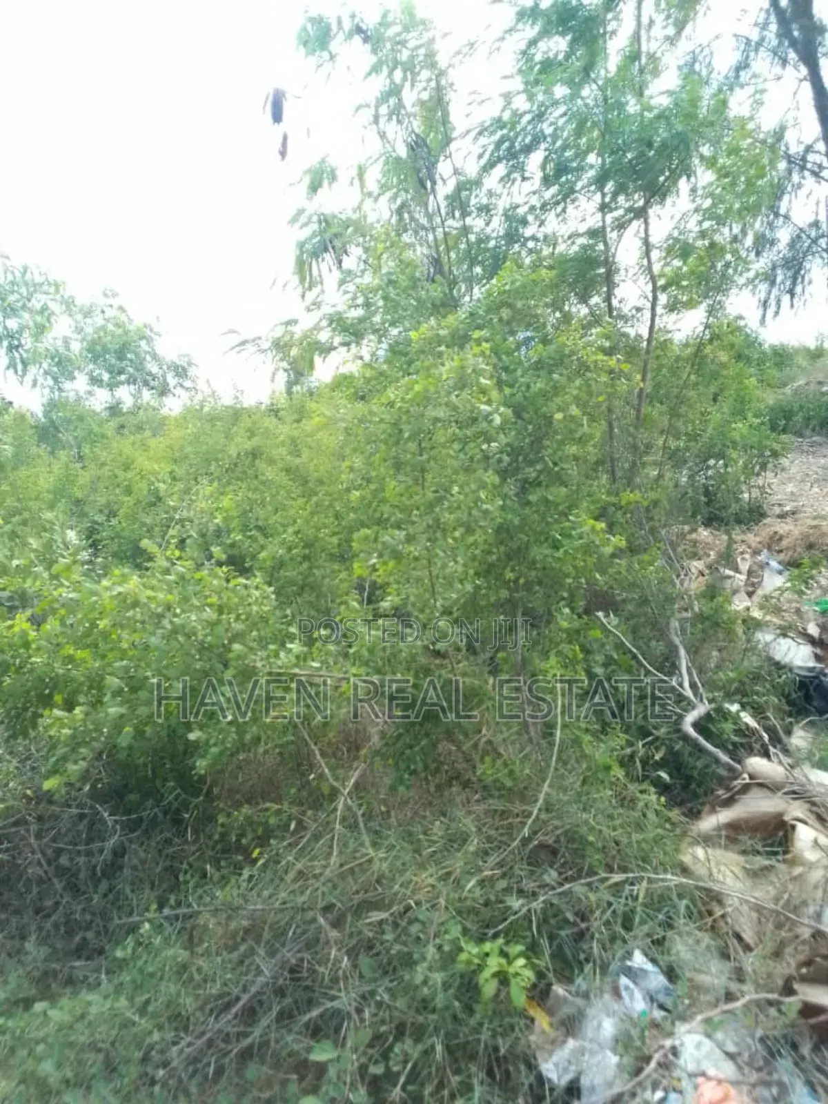 Colmercial Plot for Sale at Paje Zanzibar
