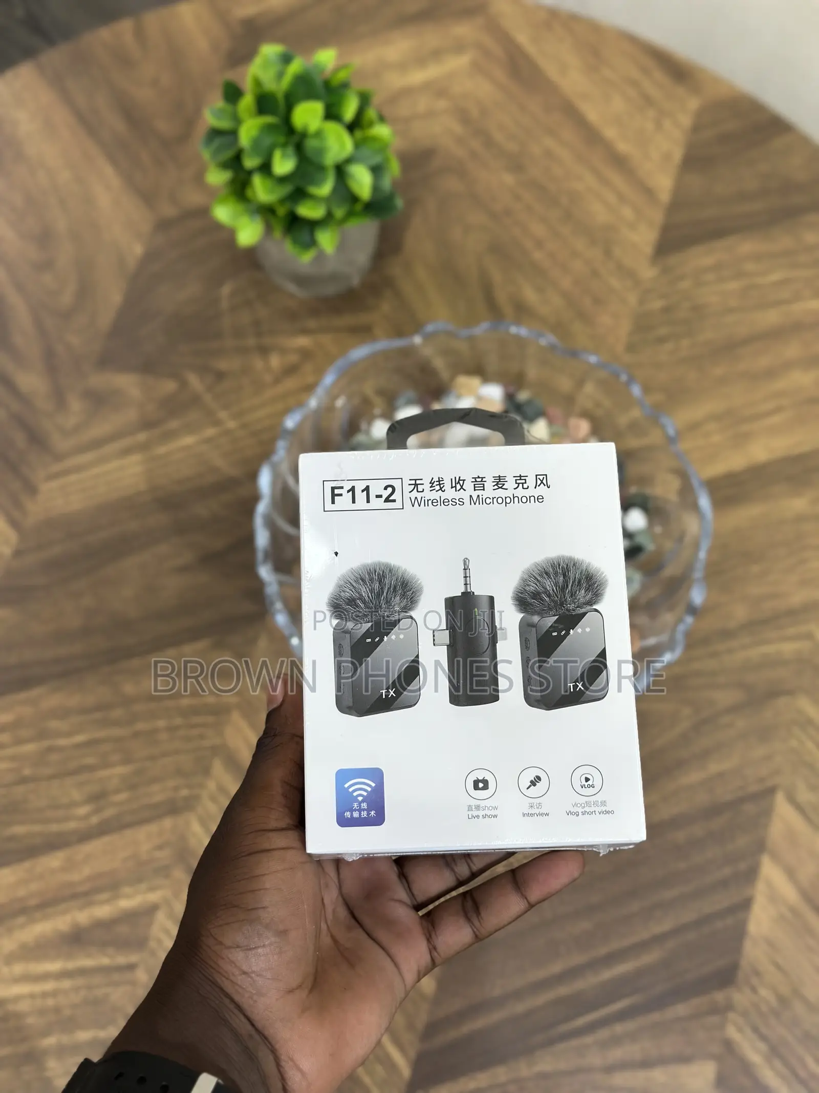 Wireless Microphone