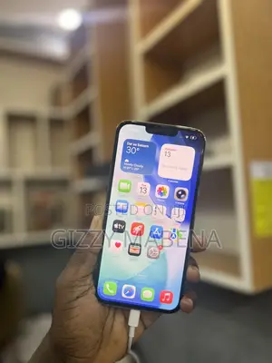 Apple iPhone 13 Pro Max 512 GB Gold