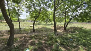 Plots Available for Sales Located in Salasala, Dar Es Salaam Tanzania