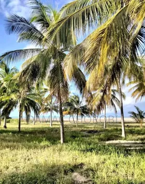 Beach Plot for Sale Kirwa Masoko