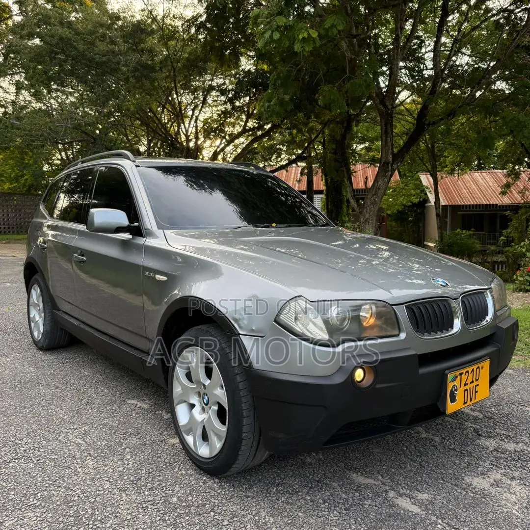 BMW X3 2007 Gray