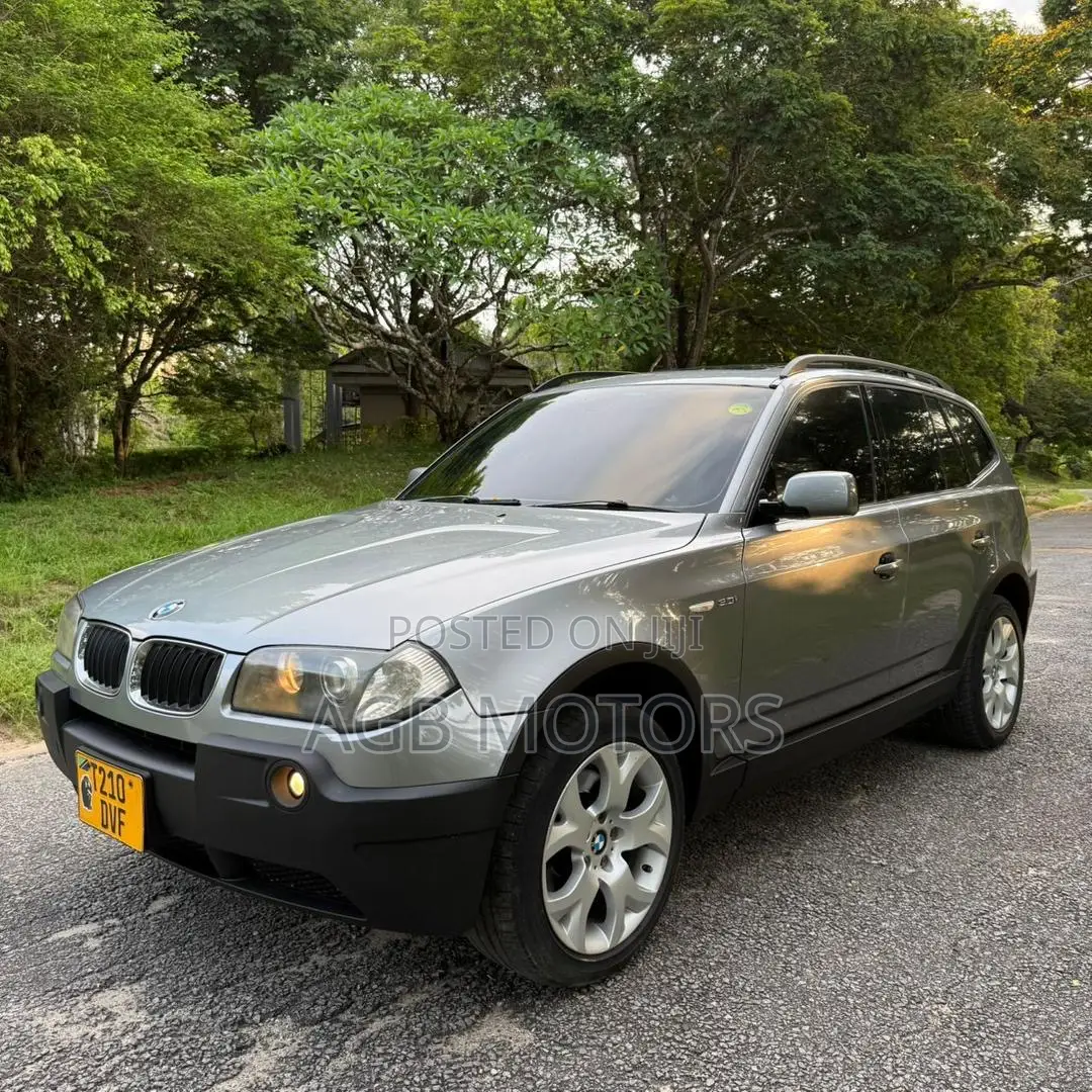 BMW X3 2007 Gray