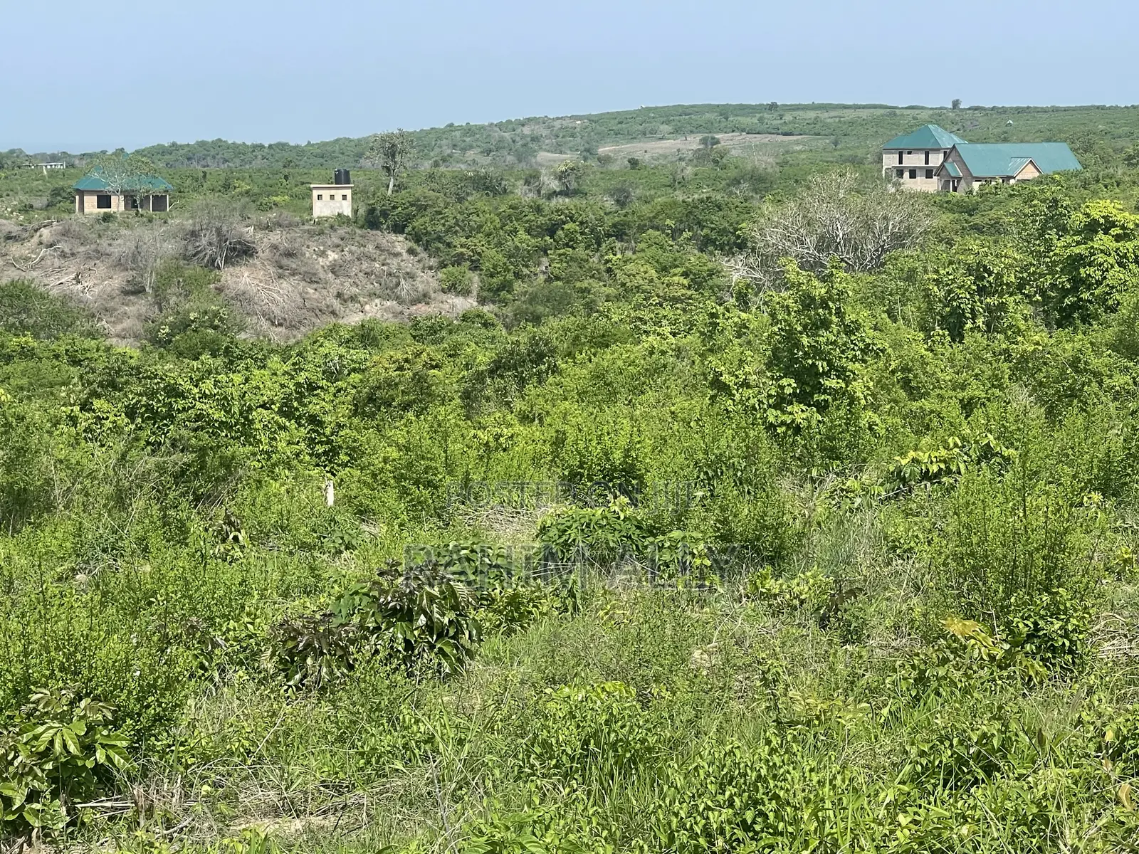 Shamba Linauzwa Kiwangwa
