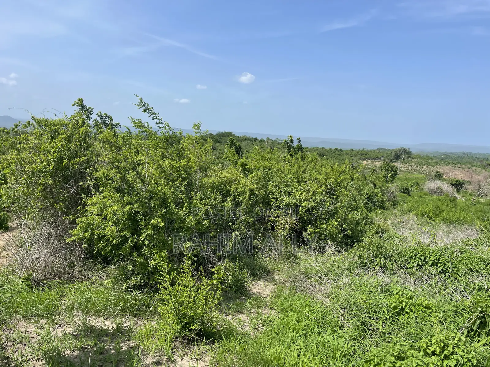 Shamba Linauzwa Kiwangwa