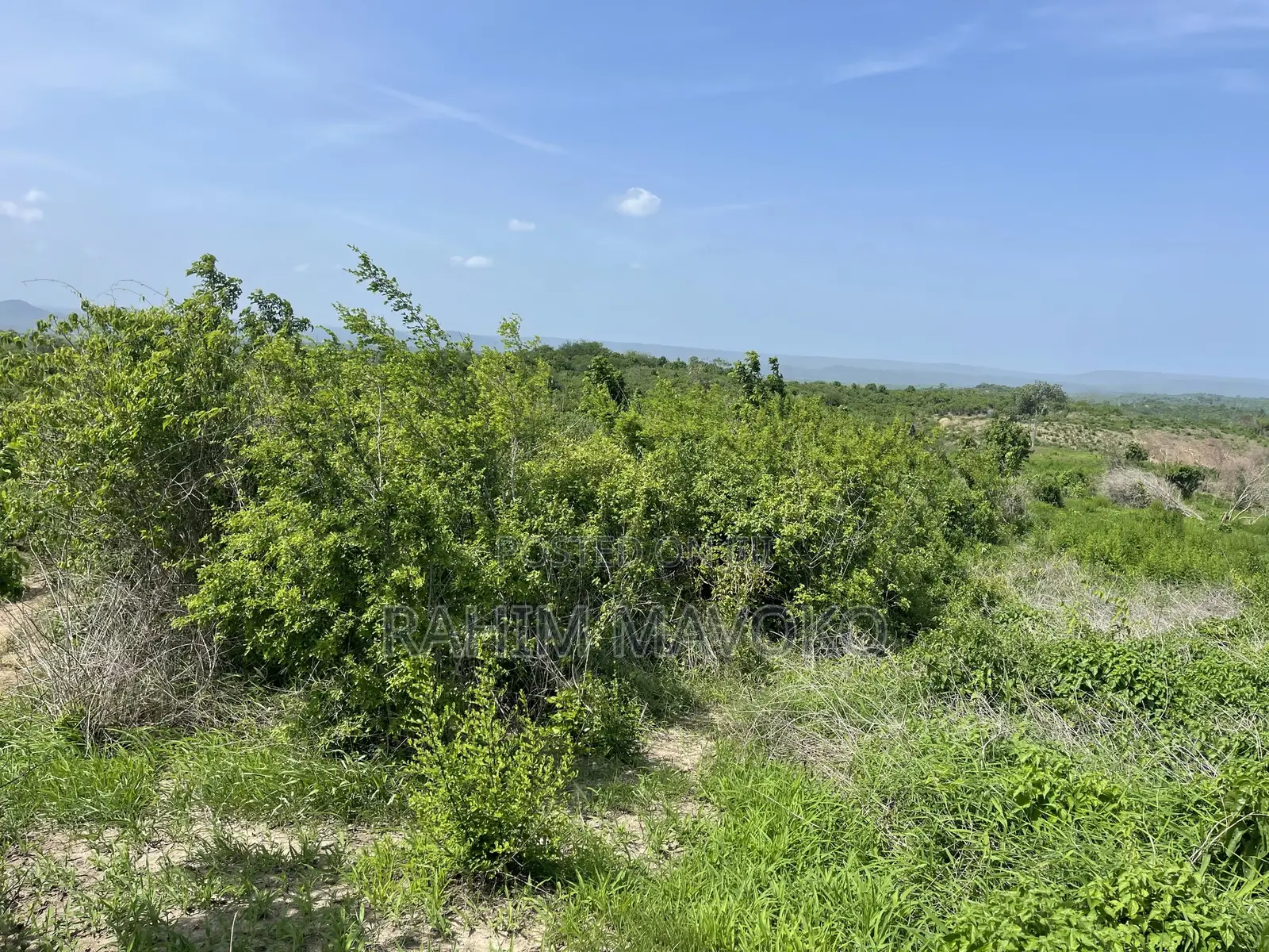 Shamba Linauzwa Kiwangwa