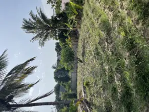 2000 SQM Plot Inauzwa Kigamboni