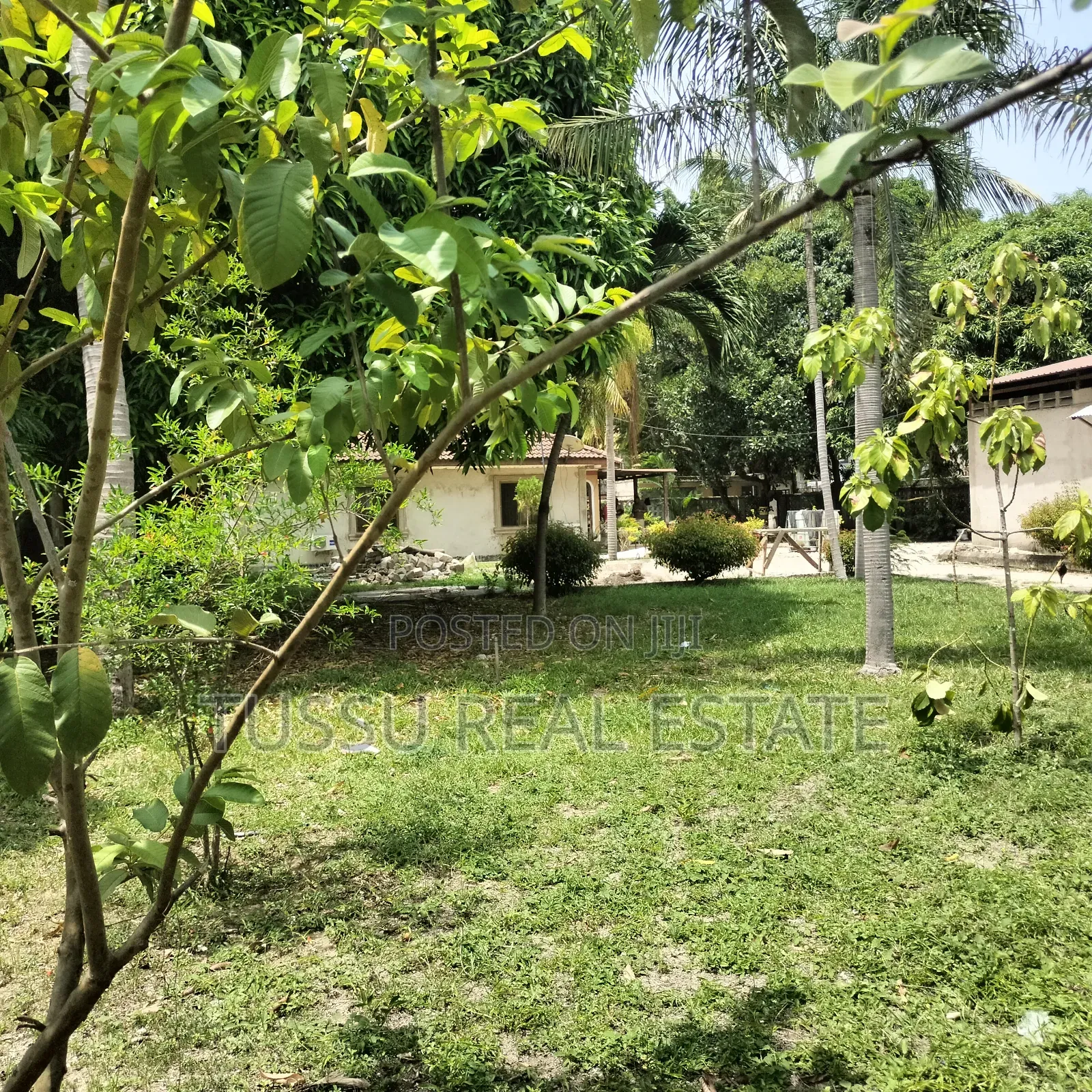 2bdrm House in Mikochen, Mikocheni for rent