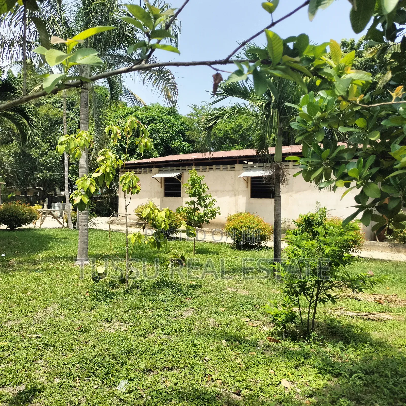 2bdrm House in Mikochen, Mikocheni for rent