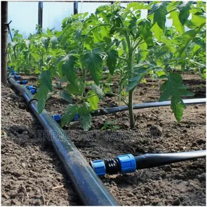 Drip Tubes