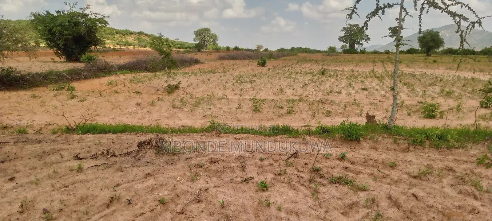 Kiwanja Dodoma Udom