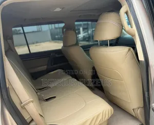 Toyota Land Cruiser 2010 Gold