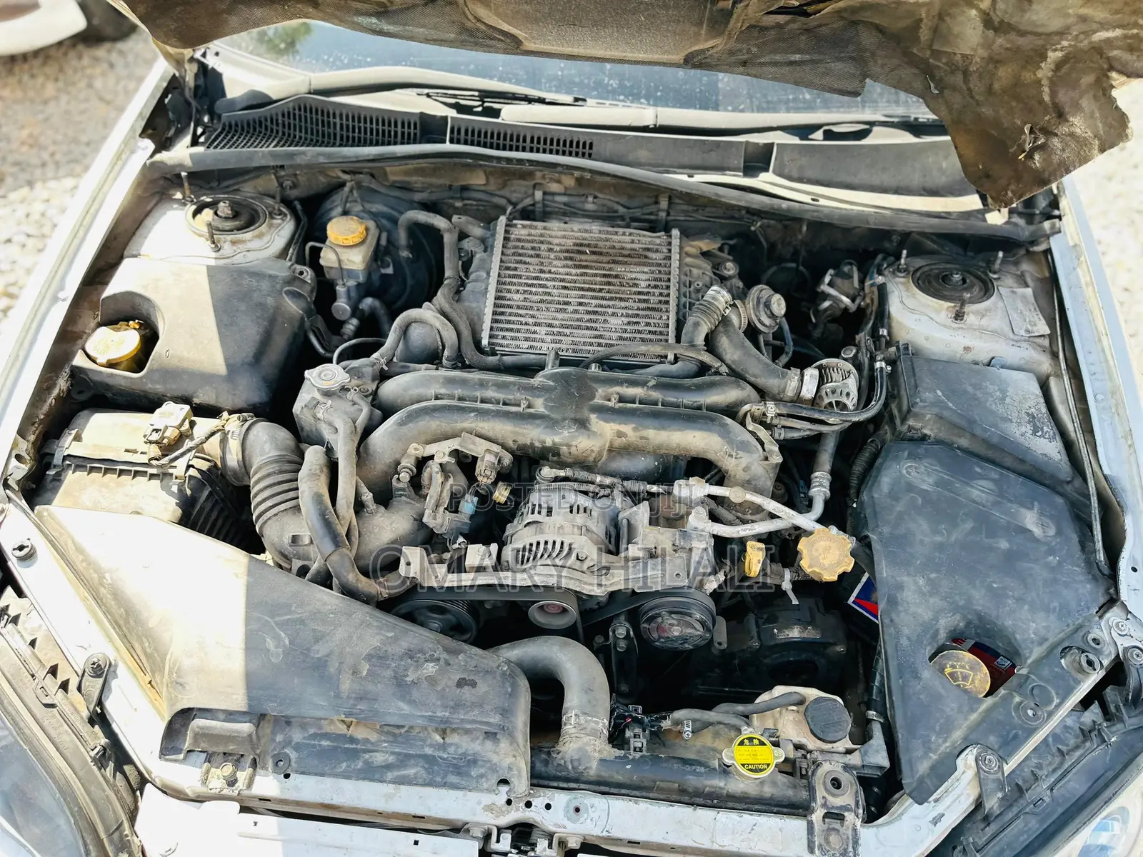 Subaru Legacy 2004 White