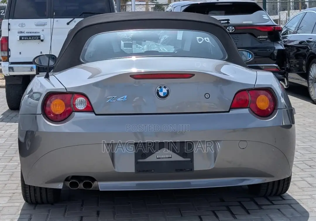 BMW Z4 2007 Gray
