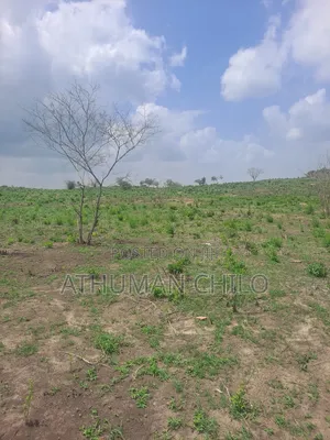 Shamba Linauzwa Kiwangwa Bagamoyo Pwani