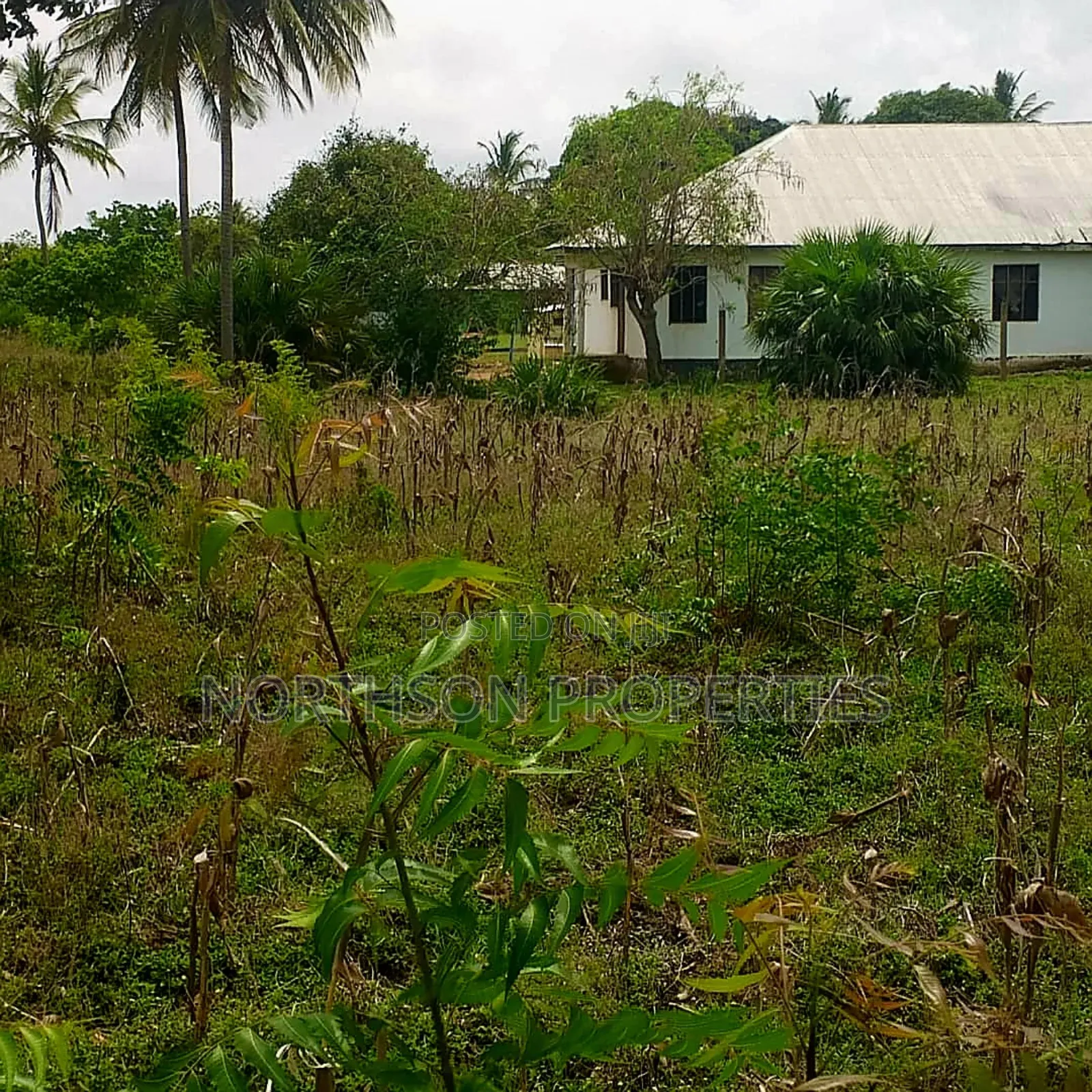 Plot at Mbutu Kigamboni